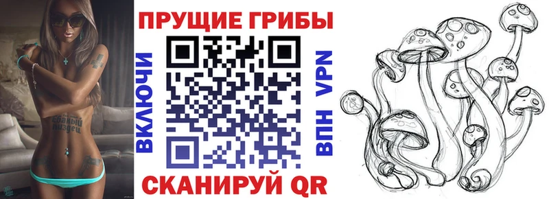 Псилоцибиновые грибы мухоморы  кракен ссылки  Горячеводский 